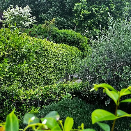 In The Green Perugia