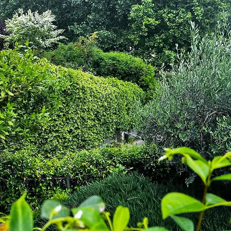 In The Green Perugia